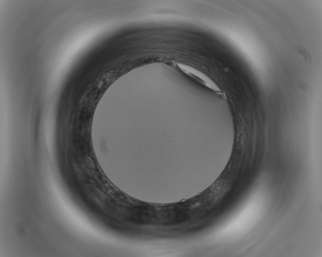 X0000113110383200909251057