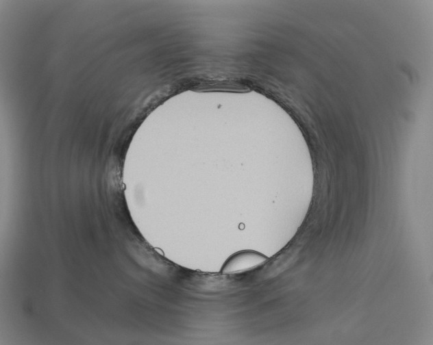 X0000113110384200909251057