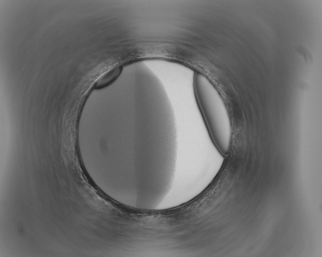 X0000113110385200909251056