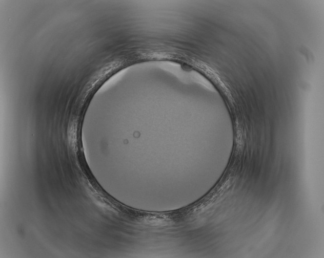 X0000113110386200909251056