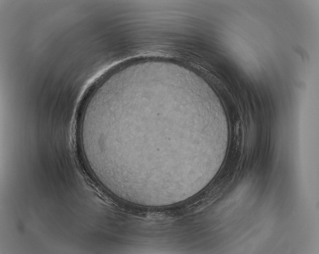 X0000113110388200909251056
