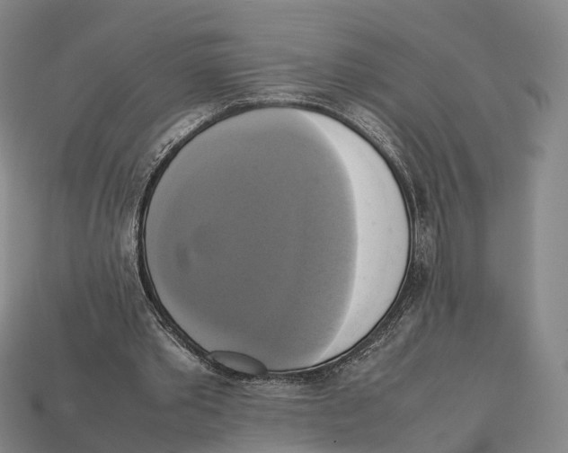 X0000113110389200909251056