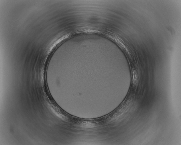 X0000113110390200909251056