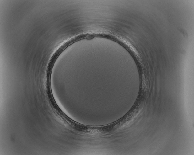 X0000113110391200909251056