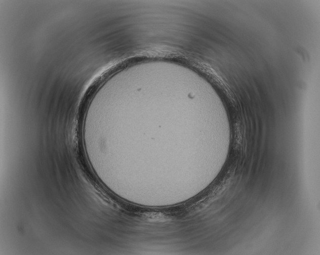 X0000113110392200909251056