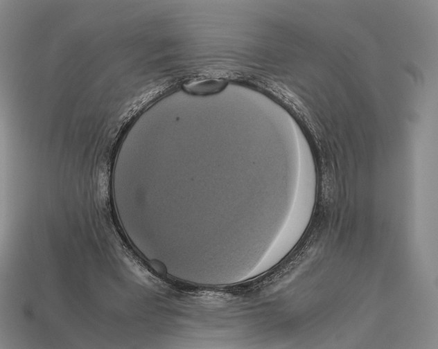 X0000113110393200909251056