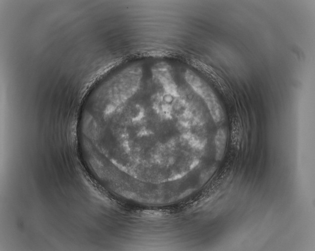 X0000113110394200909251056