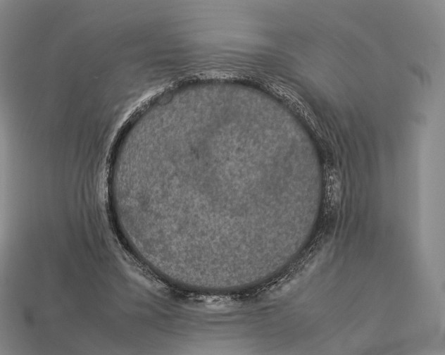 X0000113110395200909251056