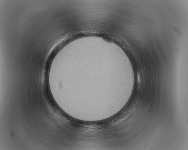 X0000113110396200909251056
