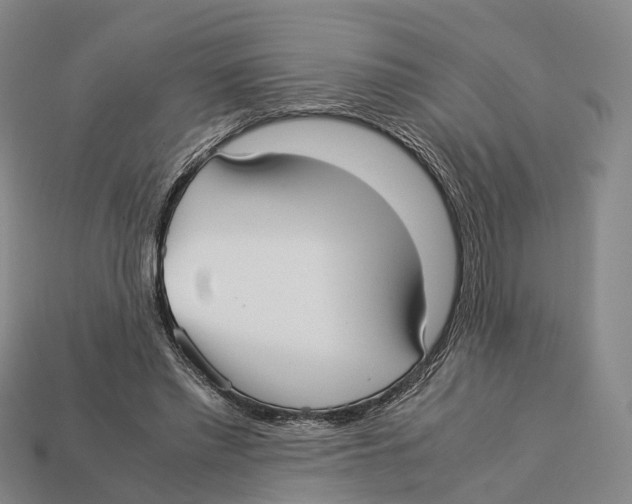 X0000113110397200909251056