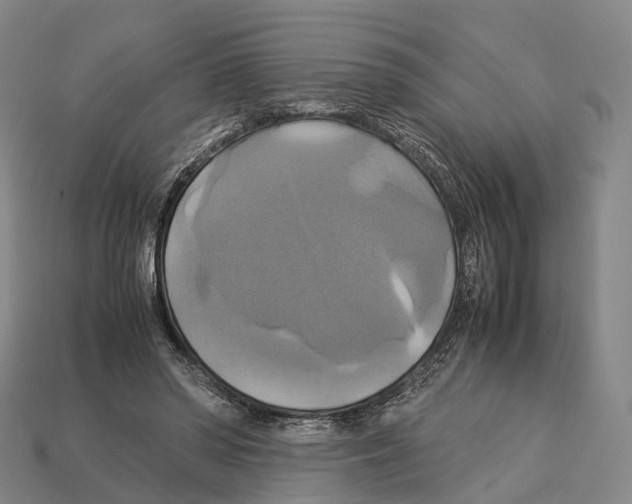 X0000113110398200909251056