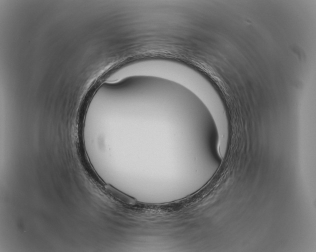 X0000113110399200909251056