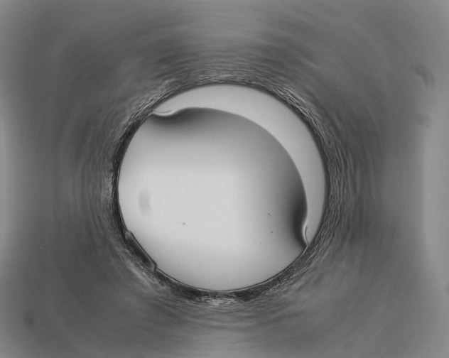 X0000113110401200909251056