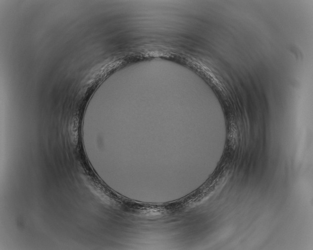 X0000113110402200909251056