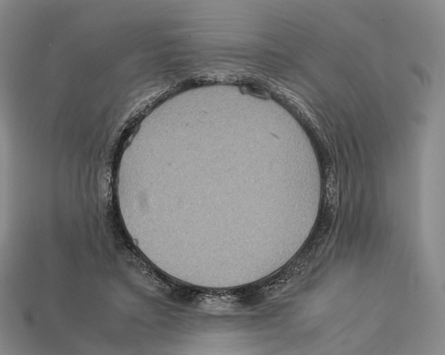 X0000113110403200909251056