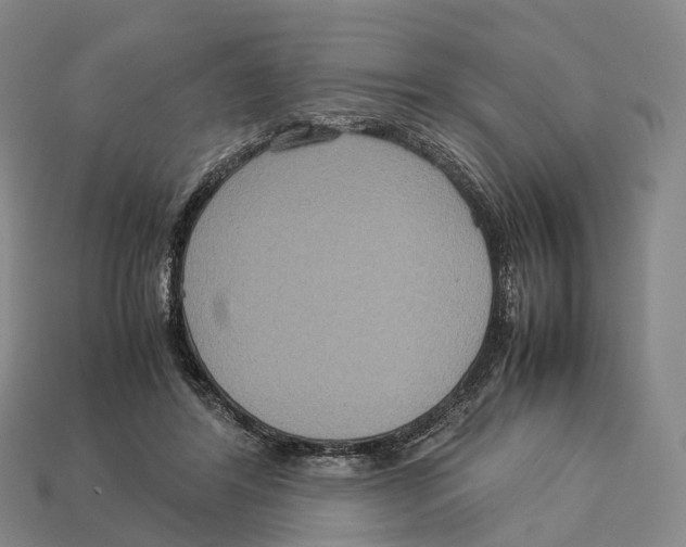 X0000113110404200909251056