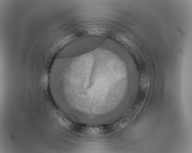 X0000113110405200909251056