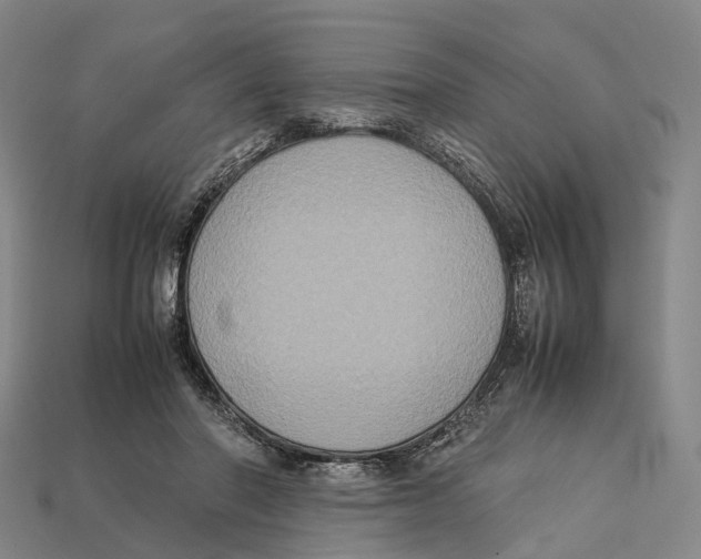 X0000113110406200909251056