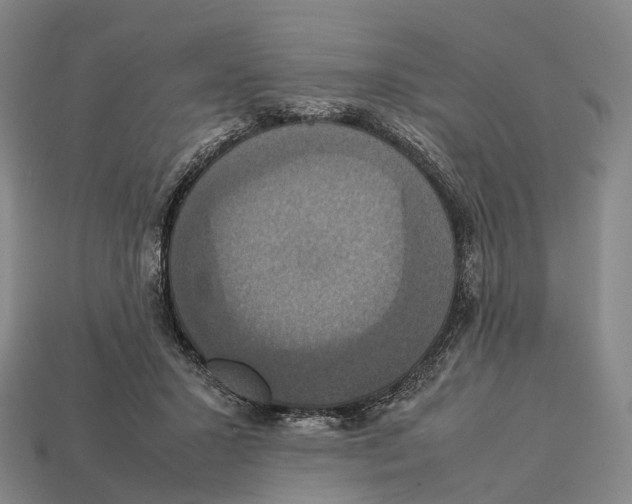 X0000113110407200909251056