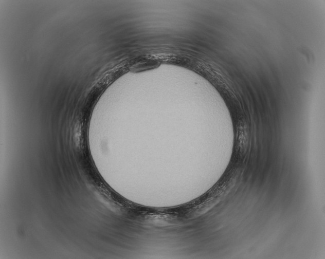 X0000113110408200909251056