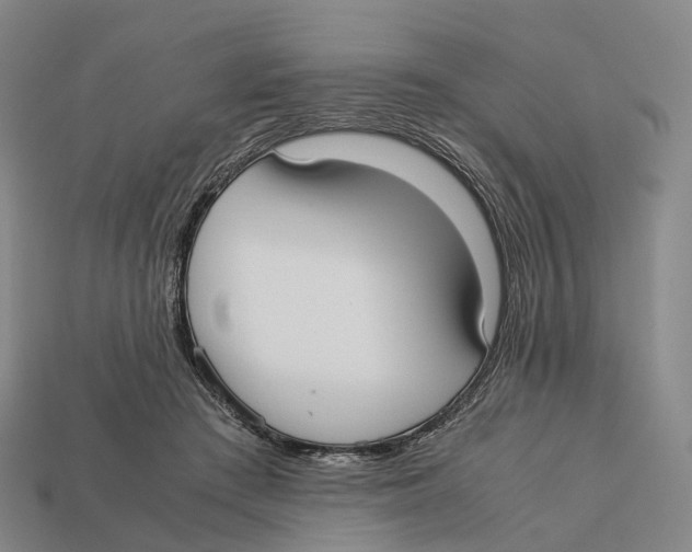 X0000113110409200909251056