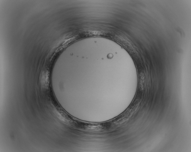 X0000113110410200909251056