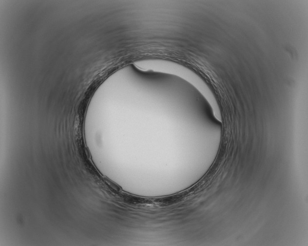 X0000113110411200909251056