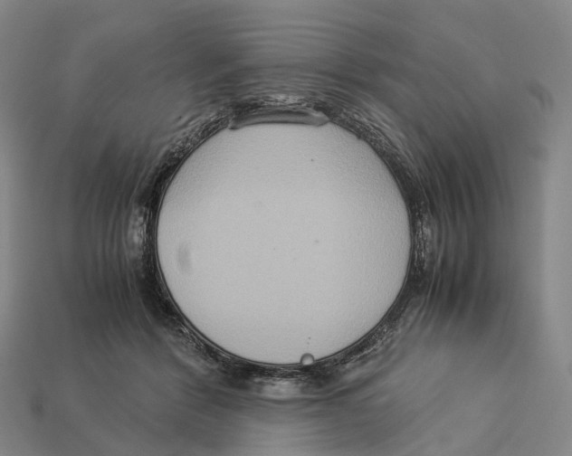 X0000113110412200909251056