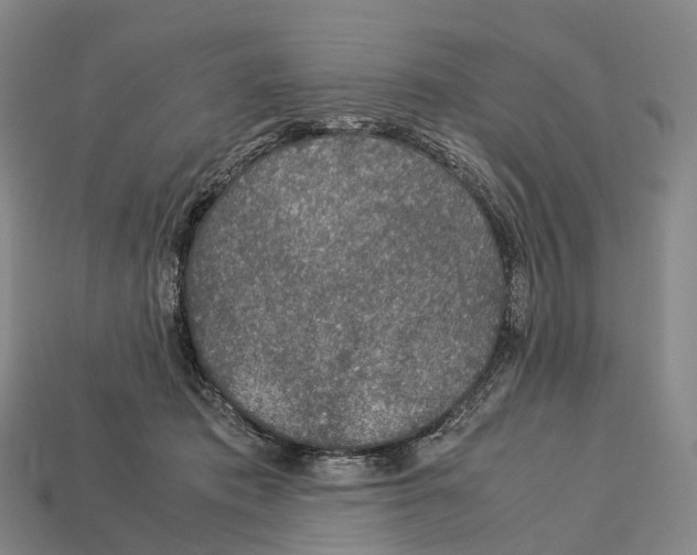 X0000113110413200909251056