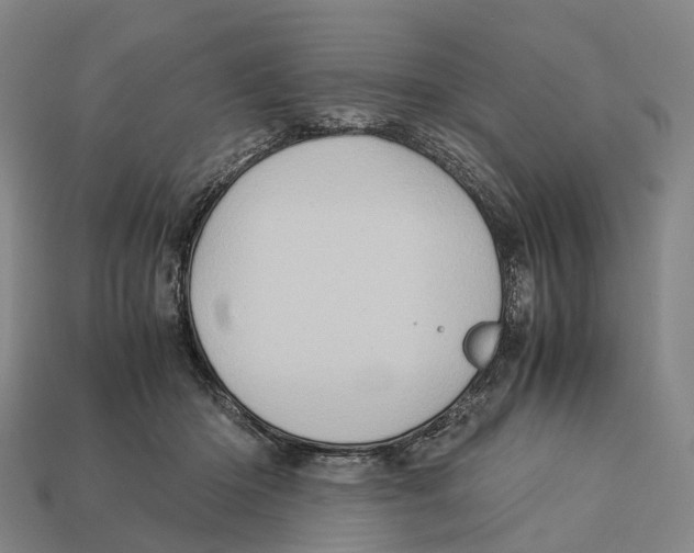 X0000113110414200909251056