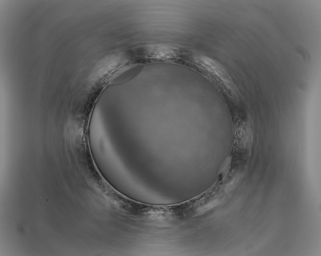 X0000113110415200909251056