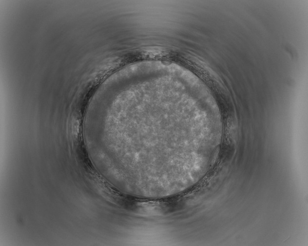 X0000113110417200909251056