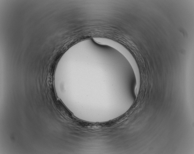 X0000113110419200909251056