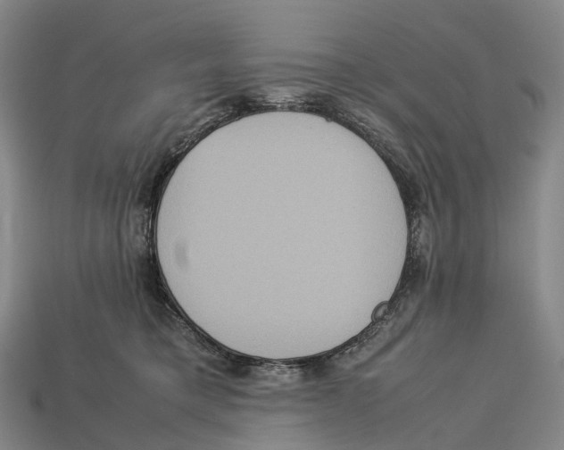 X0000113110421200909251056