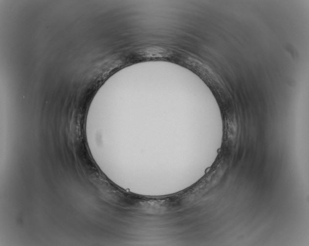 X0000113110422200909251056