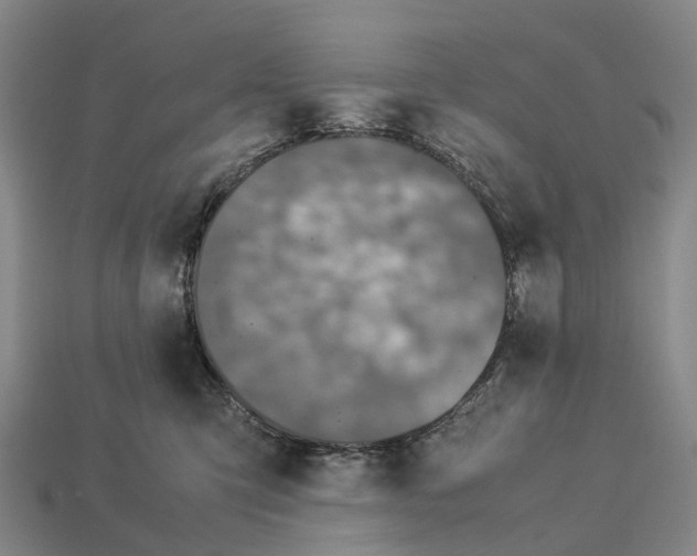 X0000113110423200909251056