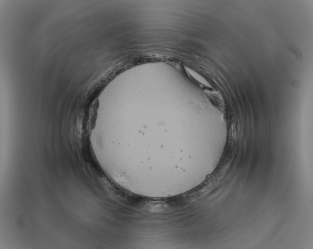 X0000113110424200909251056
