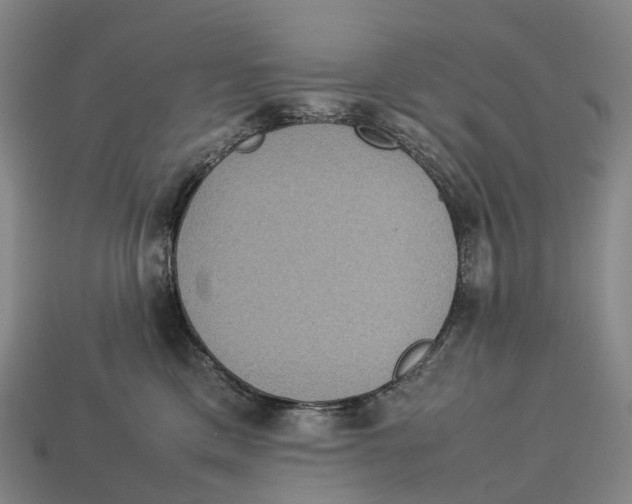 X0000113110425200909251056