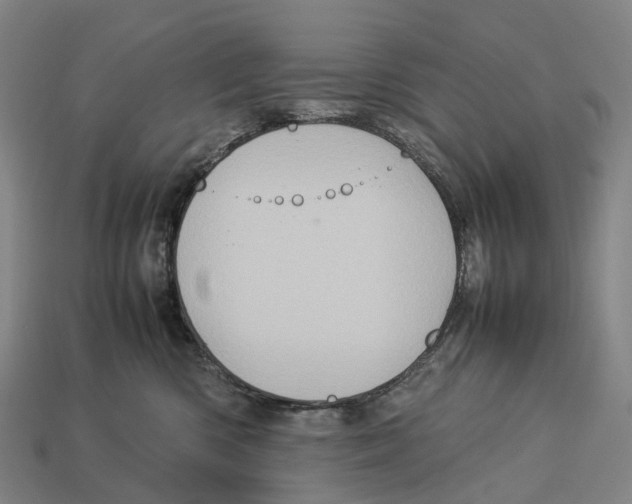 X0000113110426200909251056