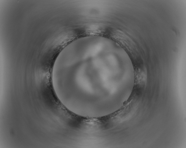 X0000113110427200909251056