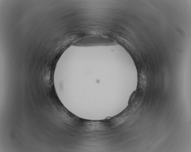 X0000113110428200909251056
