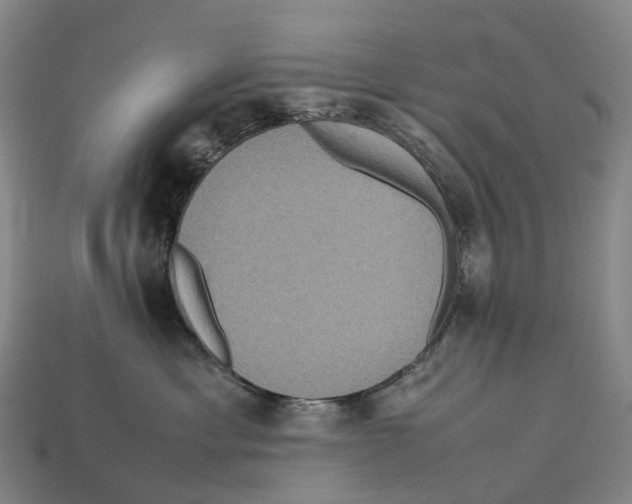 X0000113110429200909251056