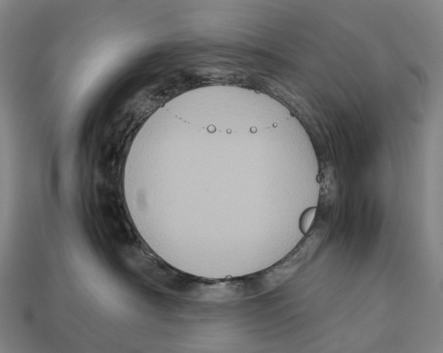 X0000113110430200909251056