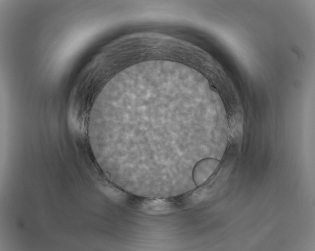 X0000113110431200909251056
