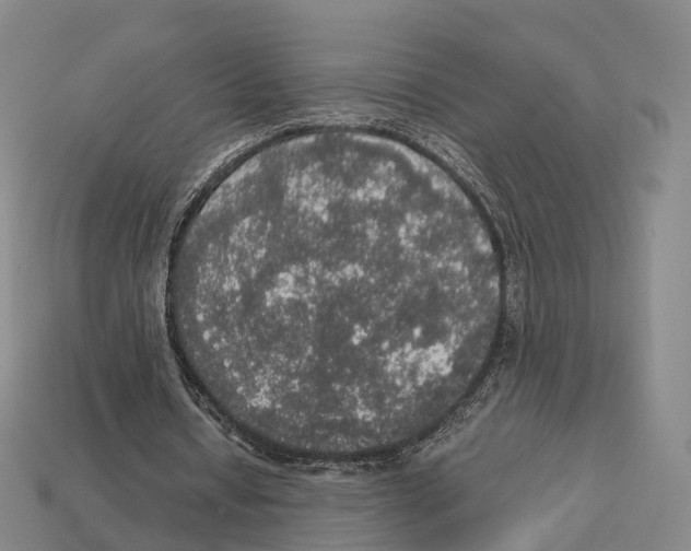 X0000113110434200909251055