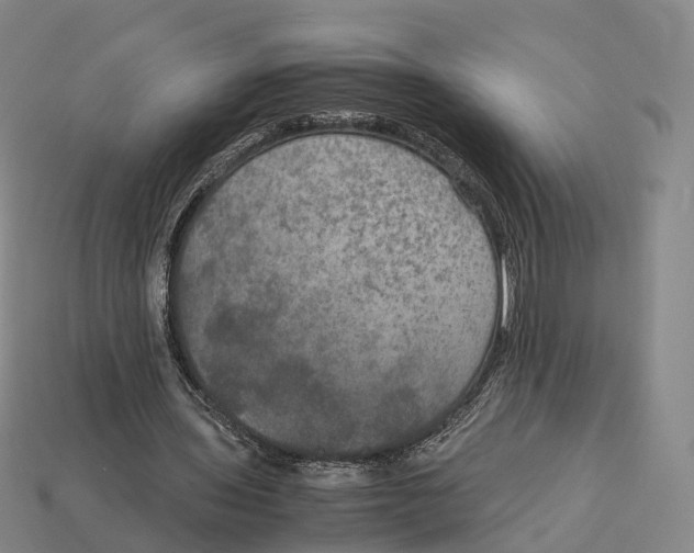 X0000113110435200909251055