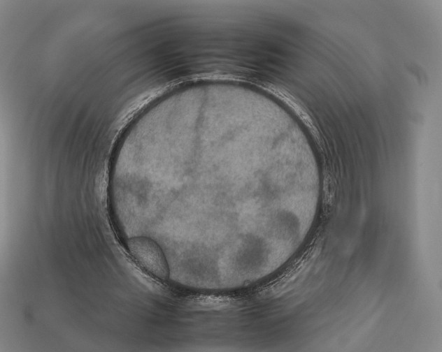 X0000113110437200909251055
