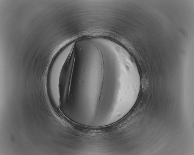X0000113110438200909251055
