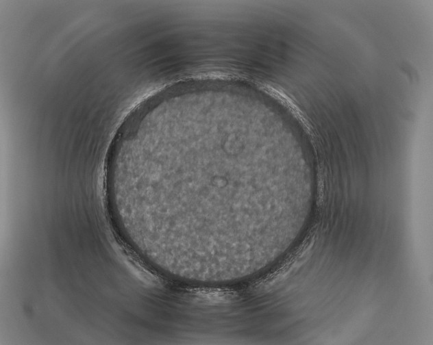 X0000113110439200909251055