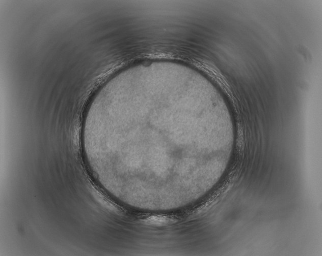 X0000113110441200909251055